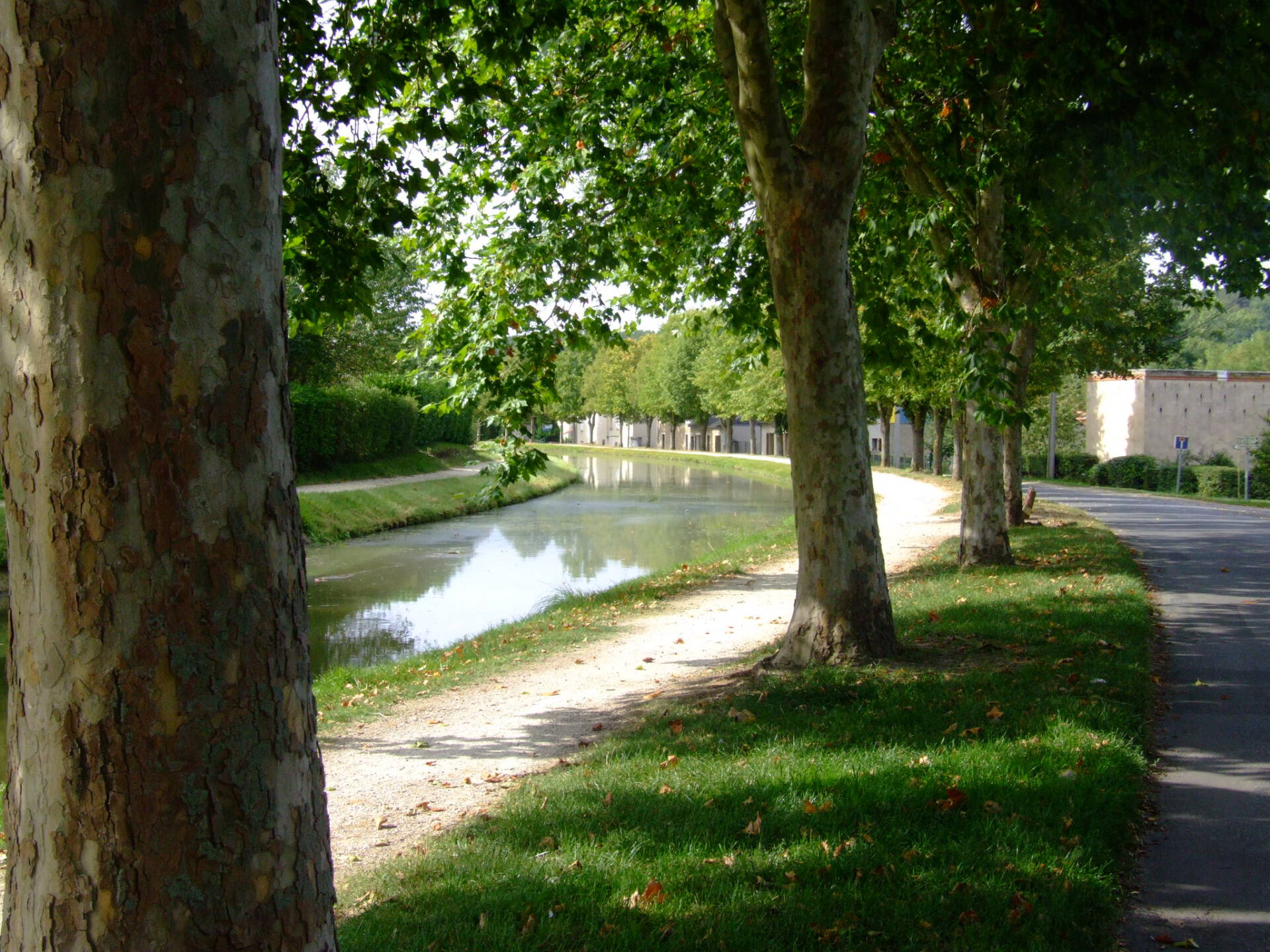 Image locale St Amand Montrond